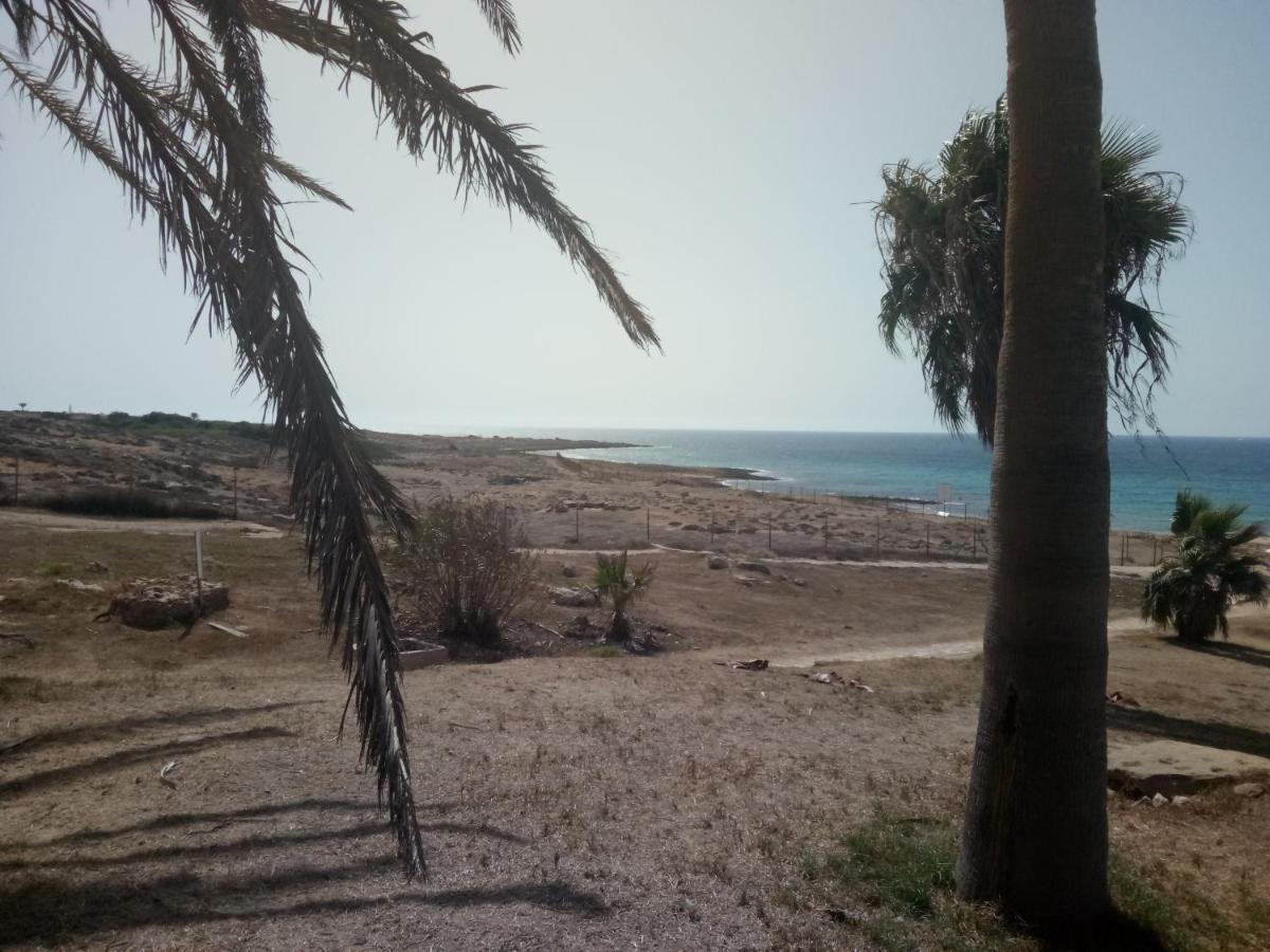 King's Palace Apt With Sea View Apartment Paphos